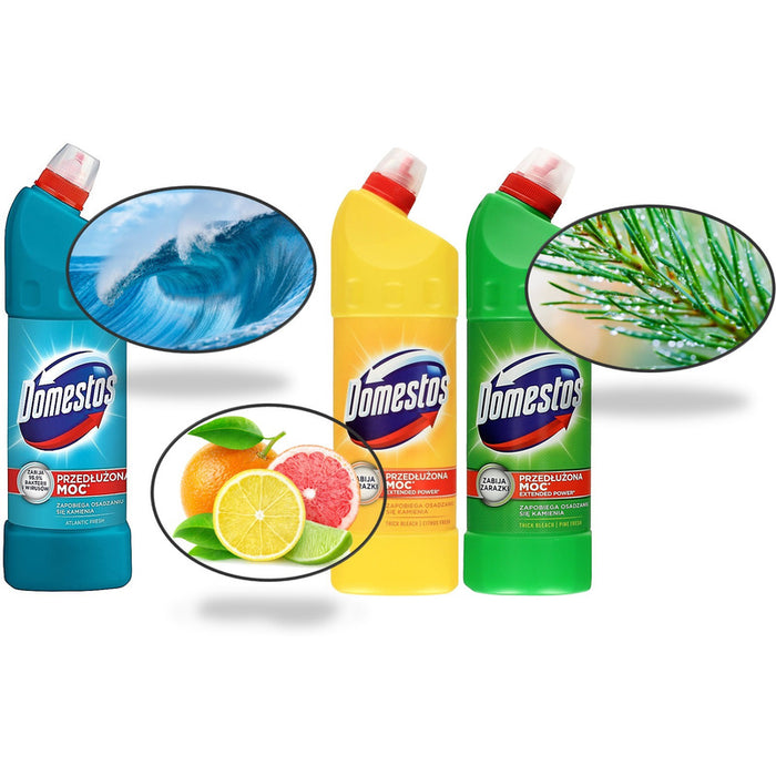 WC cleaner Domestos 1L Atlantic